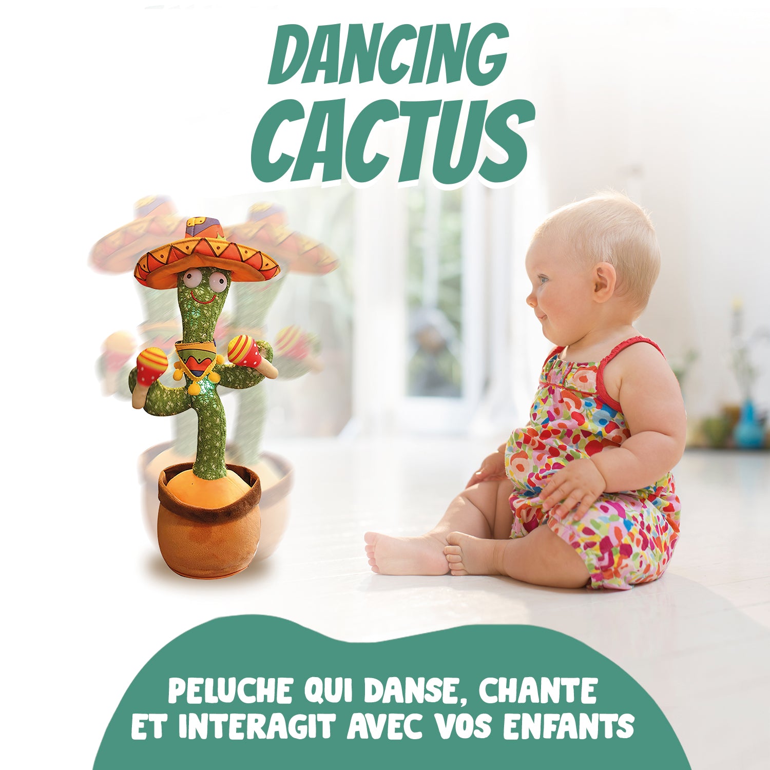 Groovy Cactus Mexico