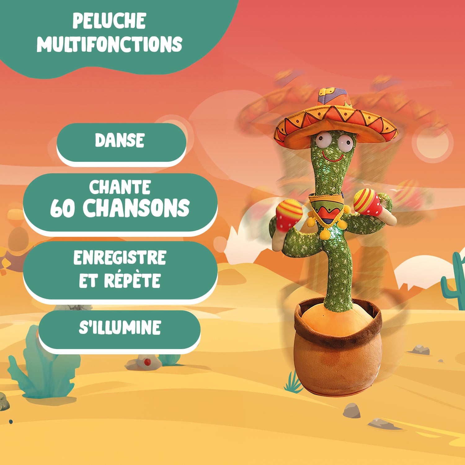 Groovy Cactus Mexico