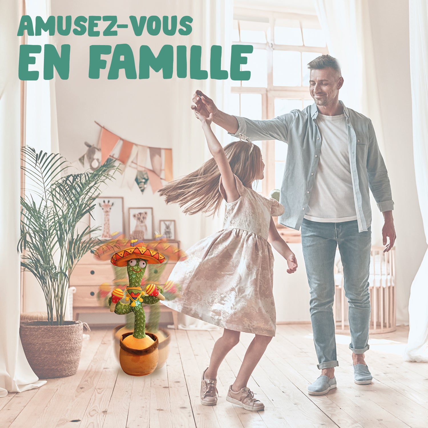 Groovy Cactus Mexico