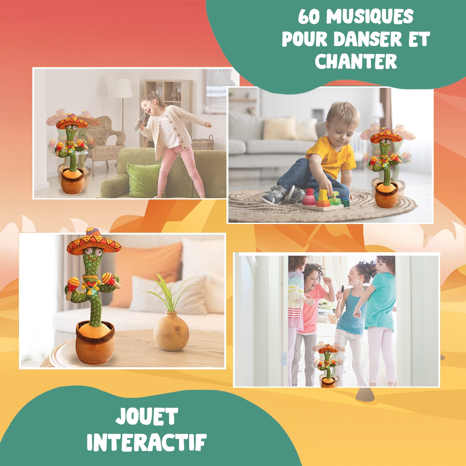 Groovy Cactus Mexico