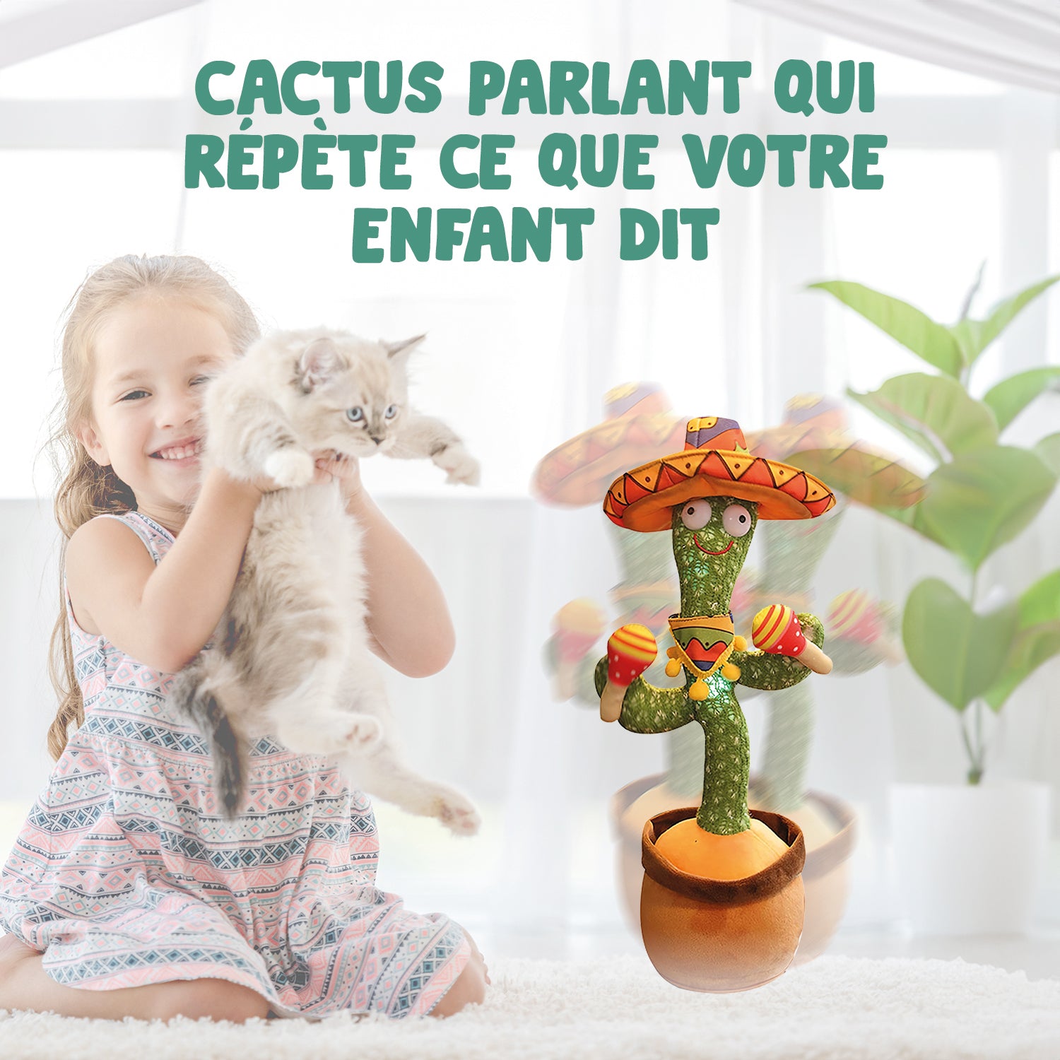 Groovy Cactus Mexico