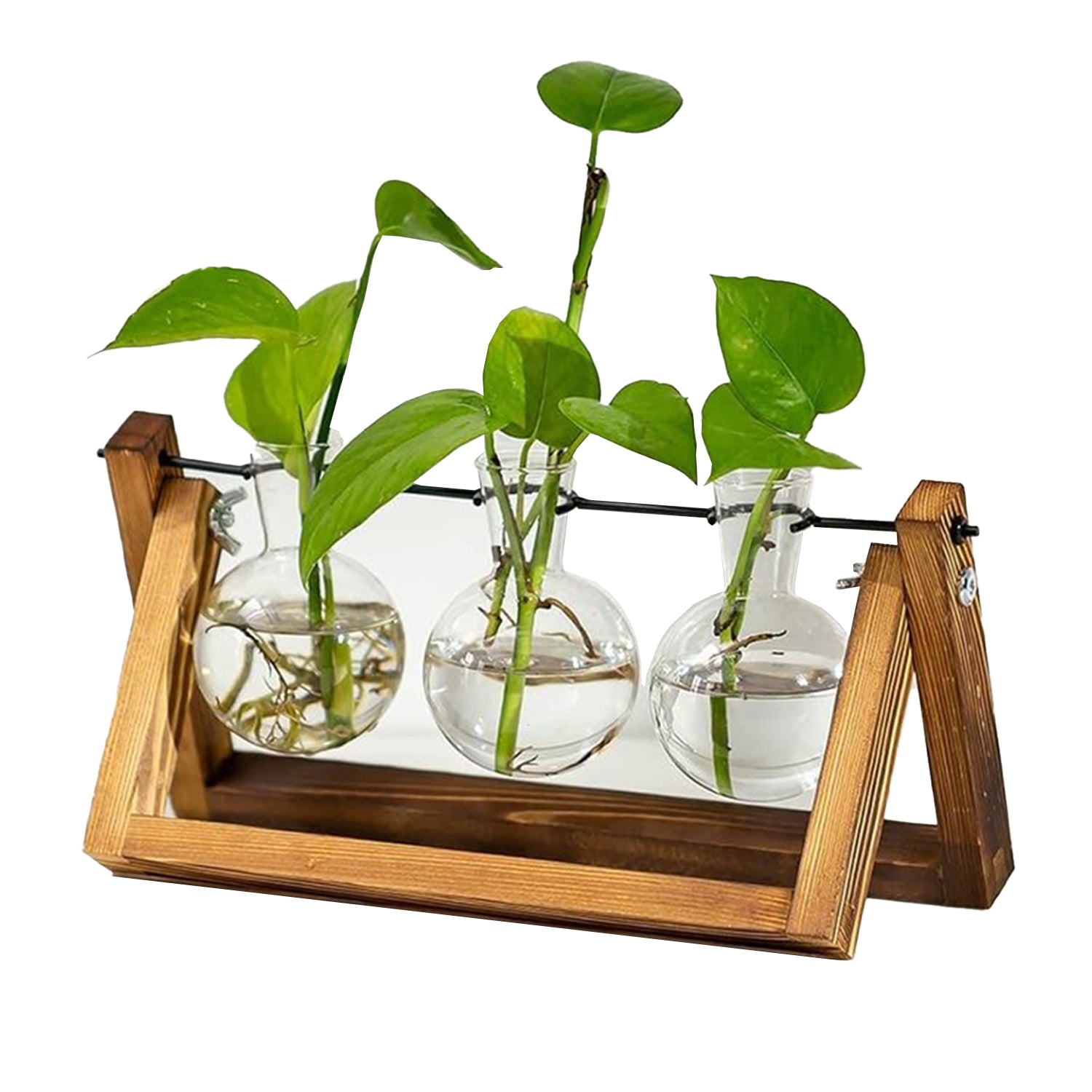 3 Vases Ampoule pour Plantes Immergées