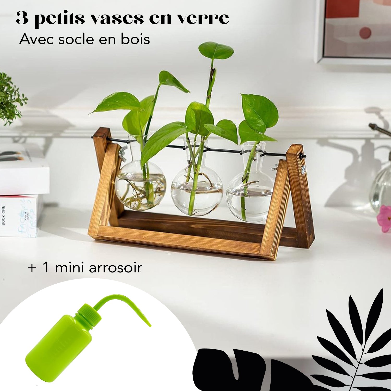 3 Vases Ampoule pour Plantes Immergées