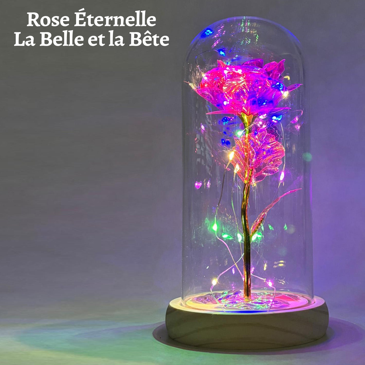 Rose Eternelle Rose