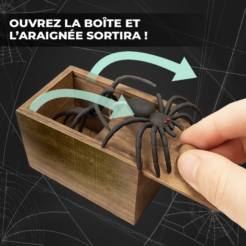 Boite Surprise Araignée Spider Prank