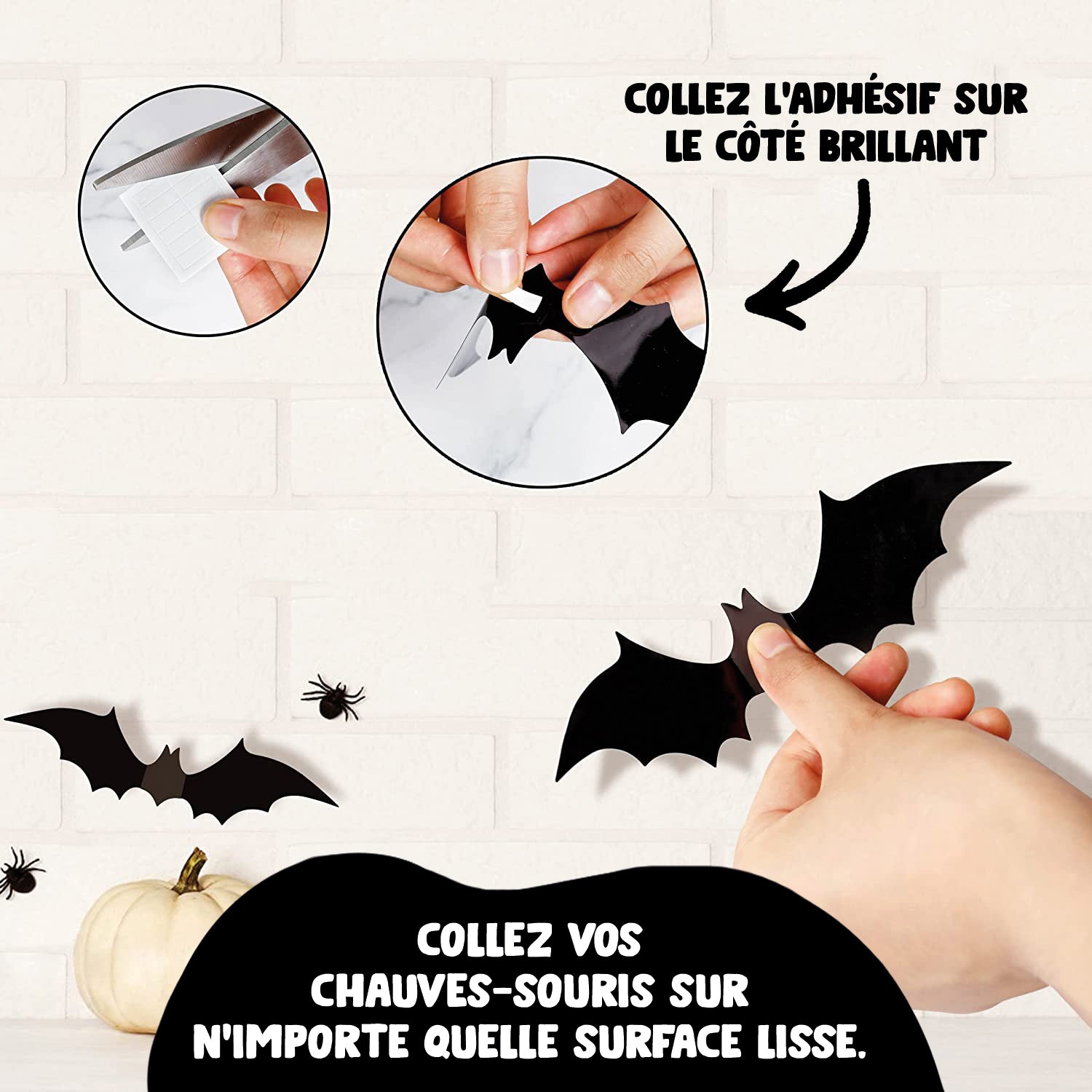 Chauves-Souris Décoratives