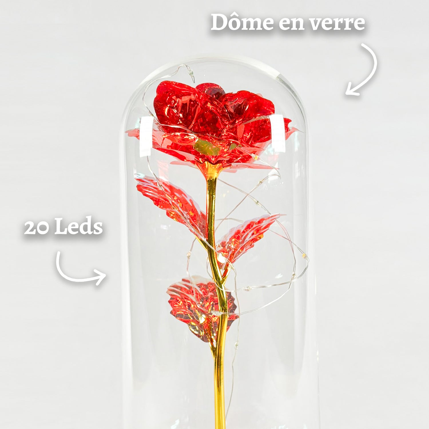 Rose Eternelle Rouge