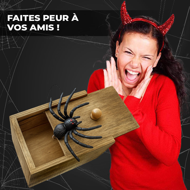 Boite Surprise Araignée Spider Prank