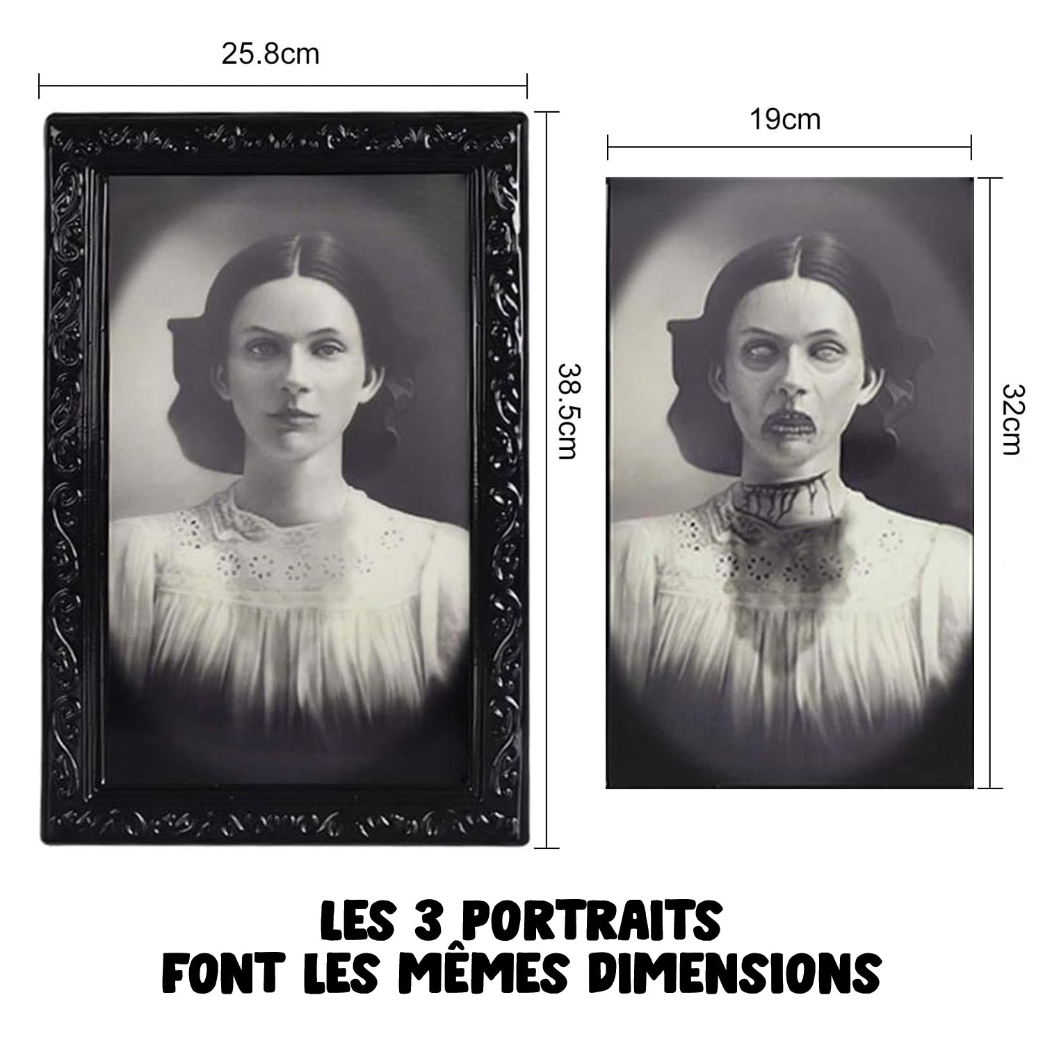 Lot de 3 Portraits Terrifiants