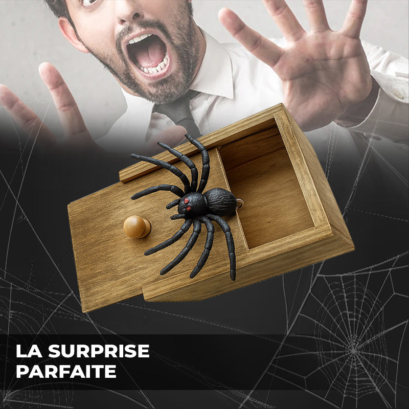 Boite Surprise Araignée Spider Prank