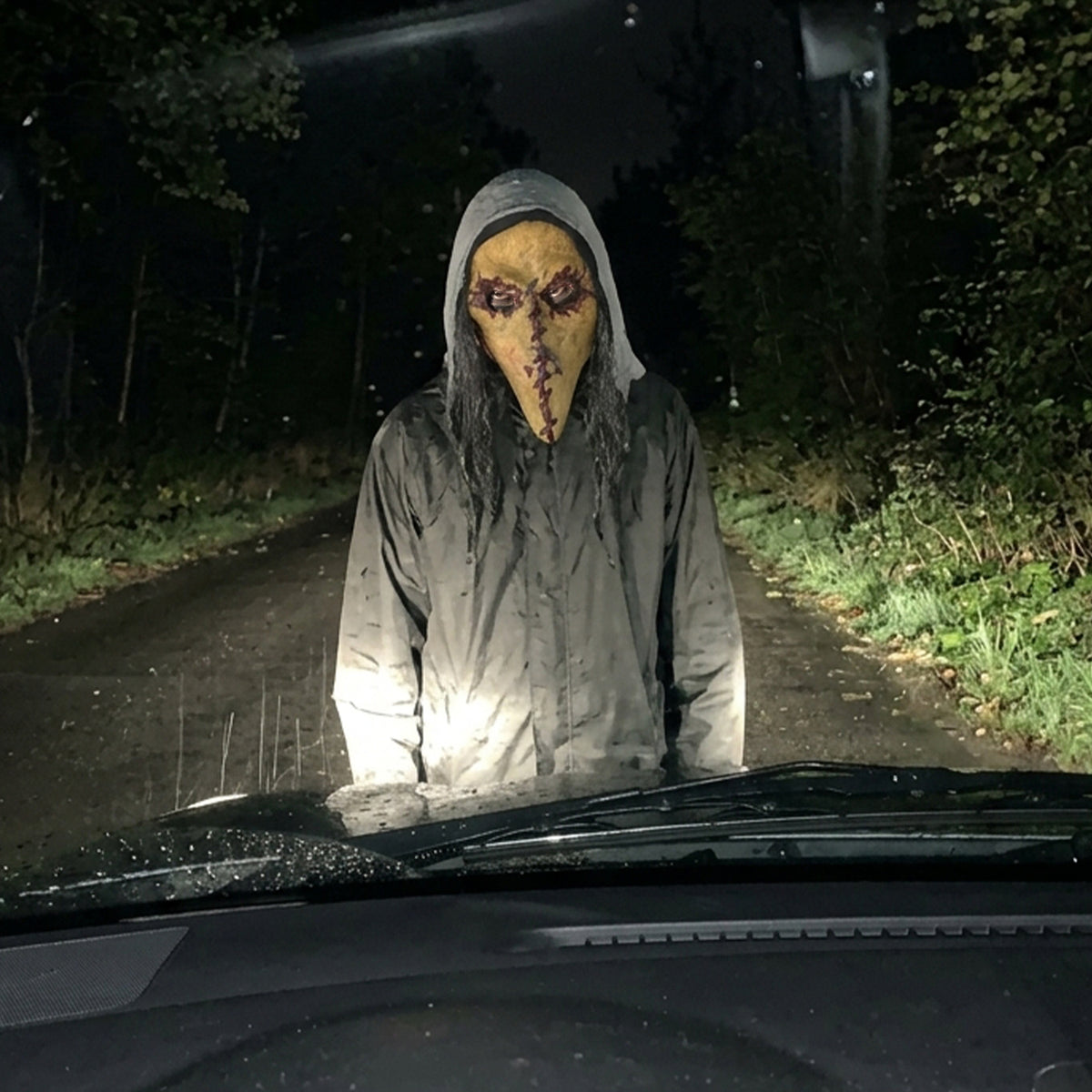Halloween-Maske – Birdy Pladge