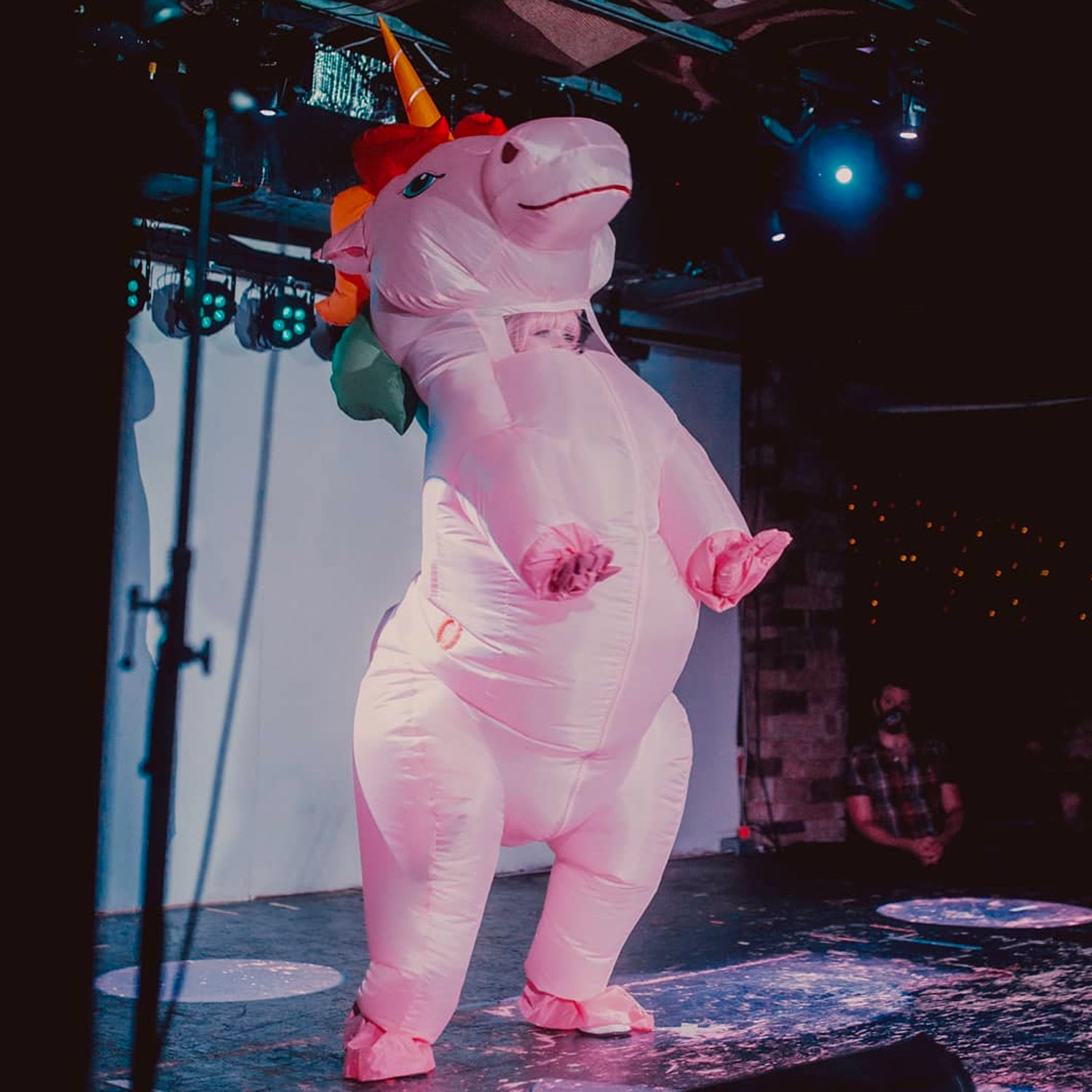 Costume Gonflable Adulte – Licorne Rose