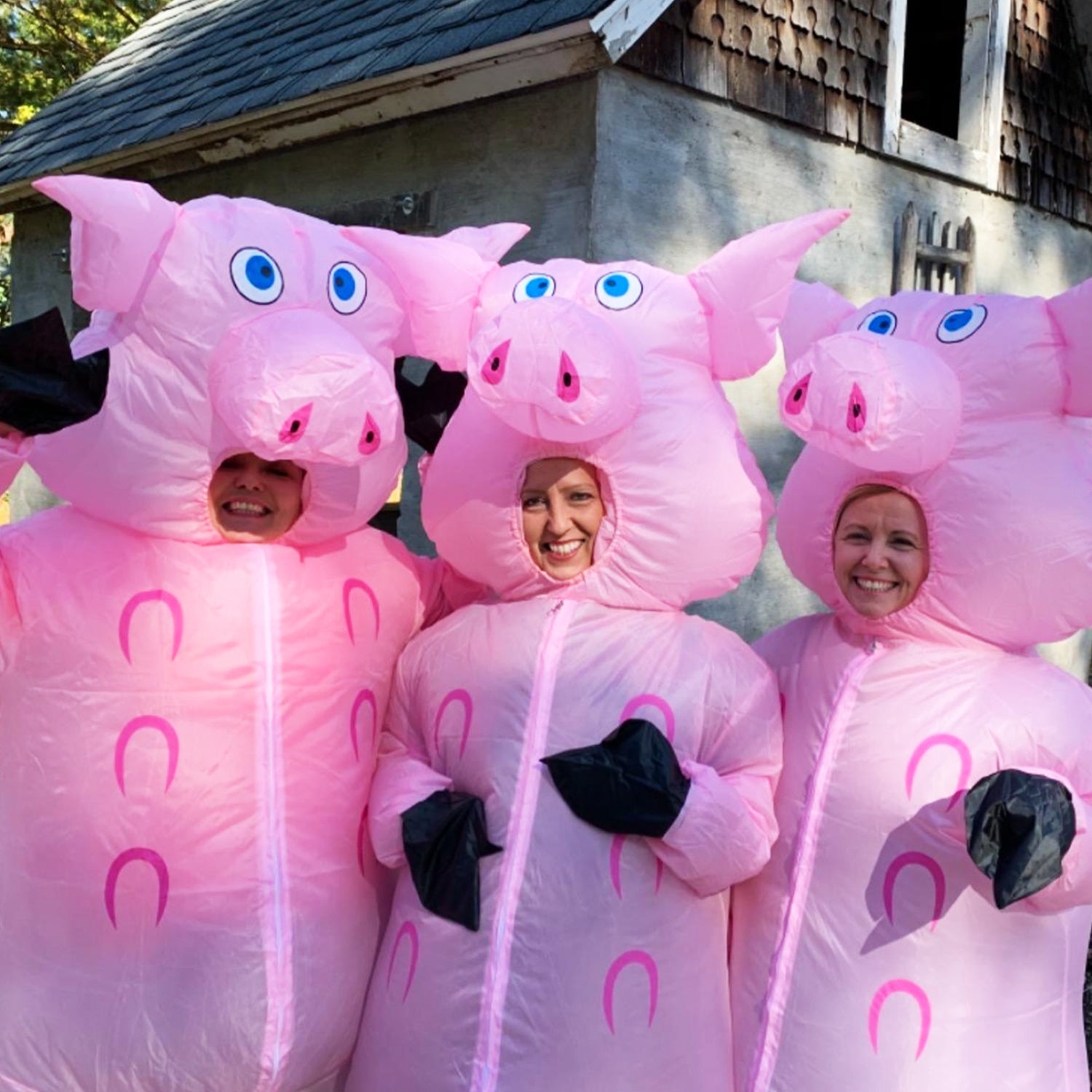 Costume Gonflable Adulte – Cochon